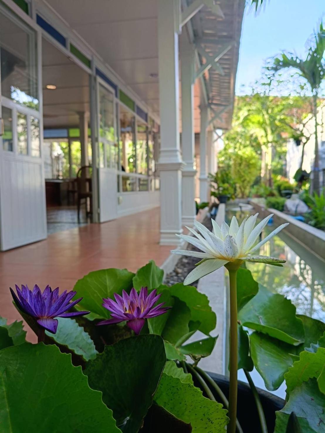 Baan Debtida Hotel กรุงเทพมหานคร ภายนอก รูปภาพ