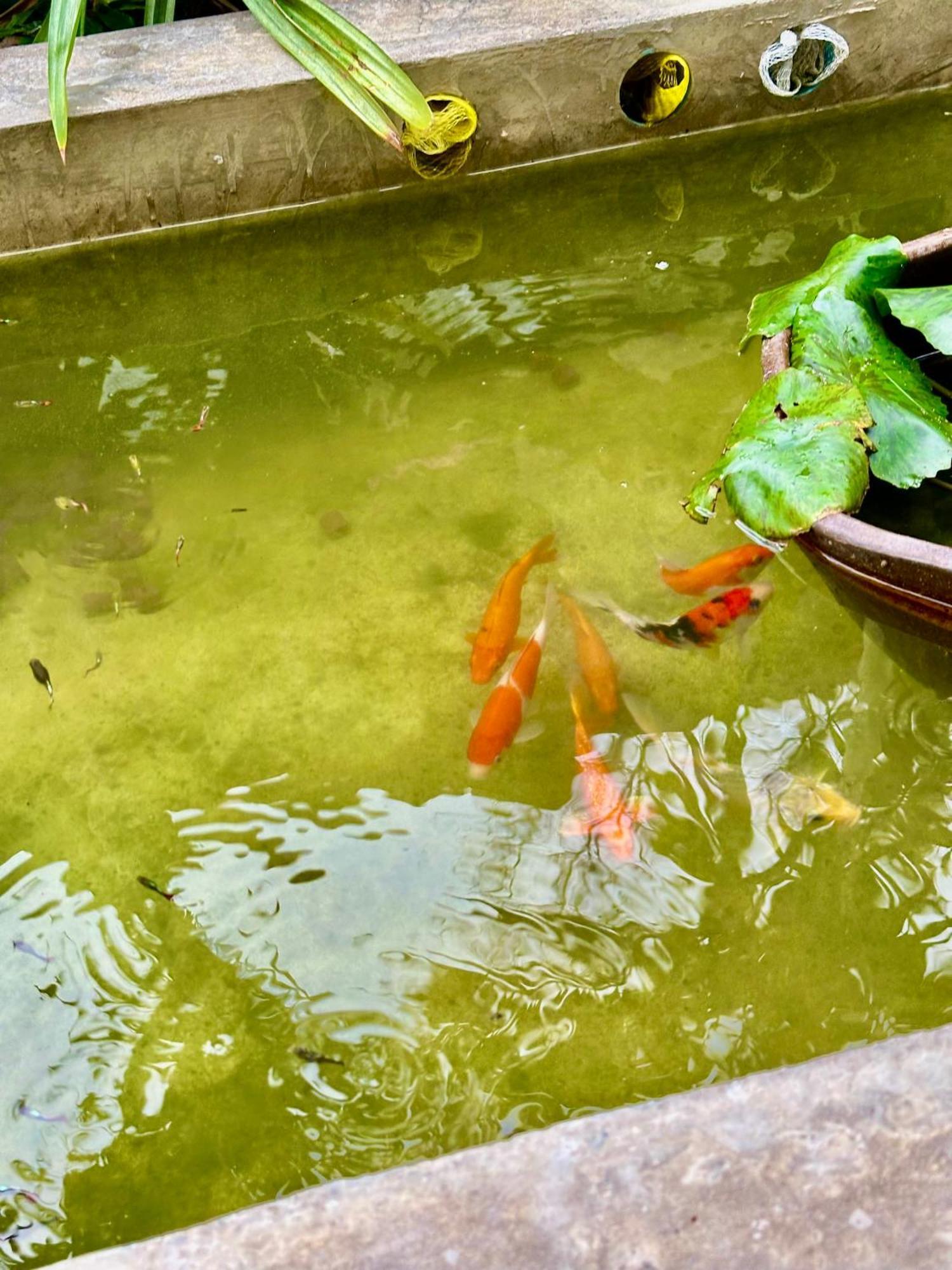 Baan Debtida Hotel กรุงเทพมหานคร ภายนอก รูปภาพ